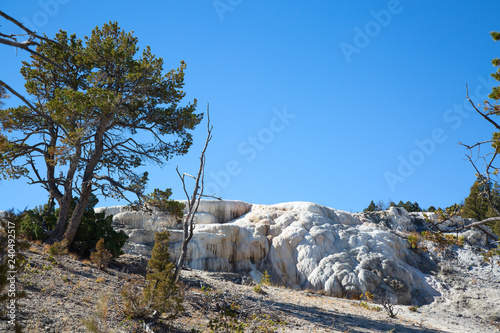 Mammoth hot springs photo