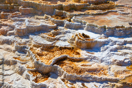 Mammoth hot springs photo