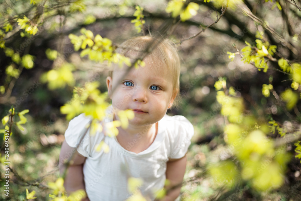 One year old playing alone under blooming forsythia in a park One year old playing alone under blooming forsythia in a park