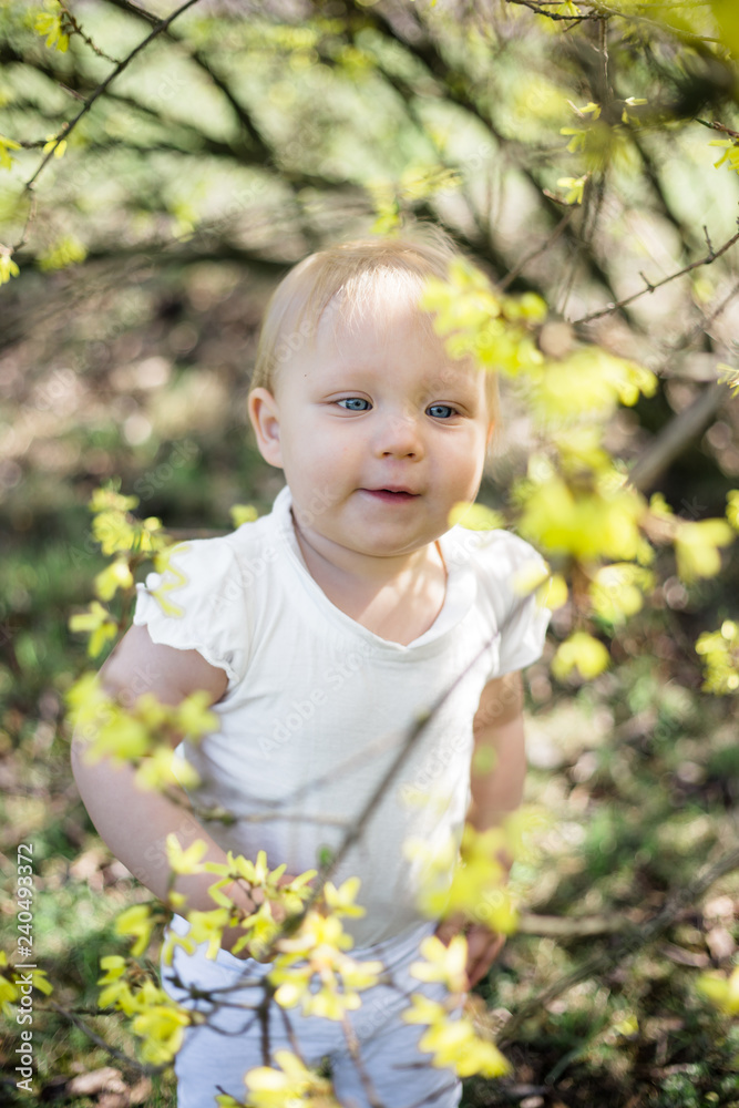 One year old playing alone under blooming forsythia in a park One year old playing alone under blooming forsythia in a park