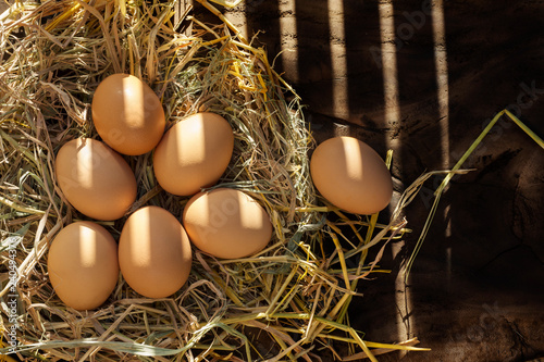 Many fresh eggs lay on the straw. There is sunshine on the chicken farm of the farmer who is kept for family consumption.