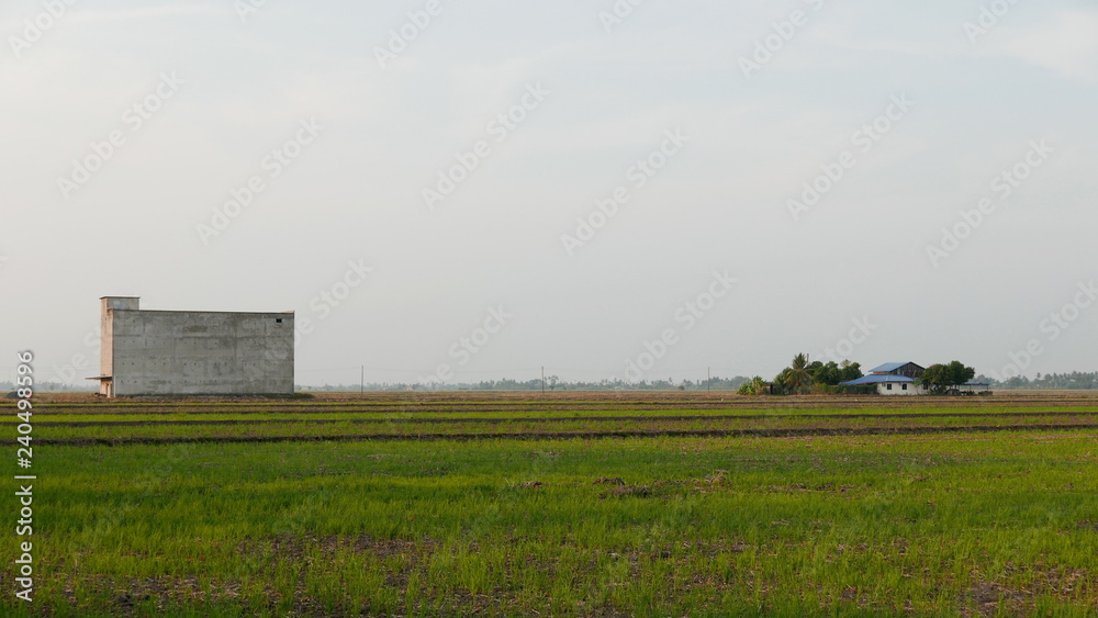 Building of edible Swiftlet bird's nests to attract birds to come and breed at the middle of paddy field. House nearby. Building of edible Swiftlet bird's nests to attract birds to come and breed at the middle of paddy field. House nearby.