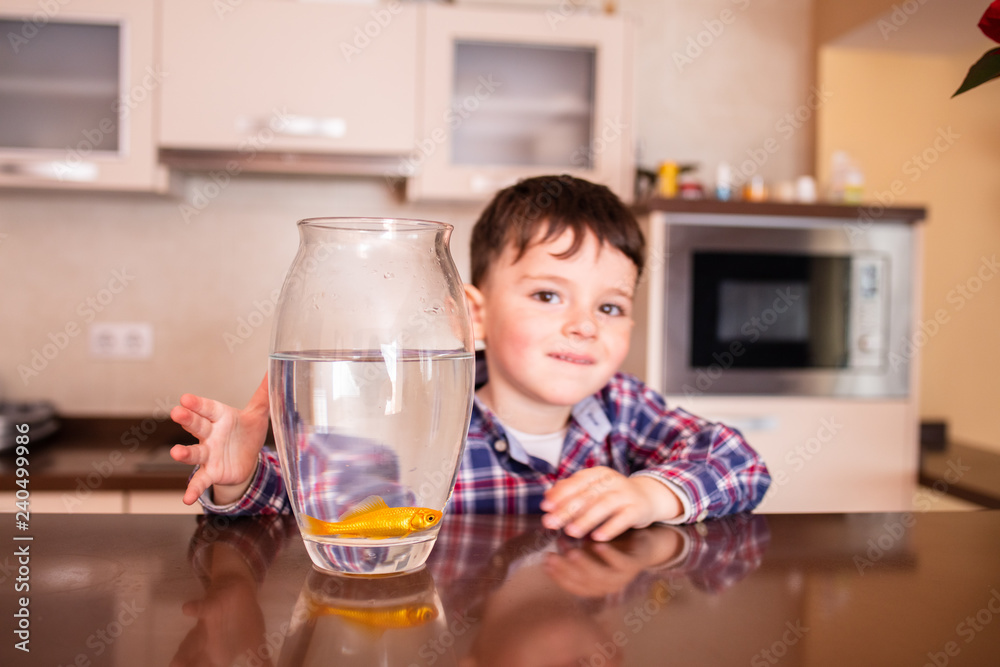boy plays with fish boy plays with fish