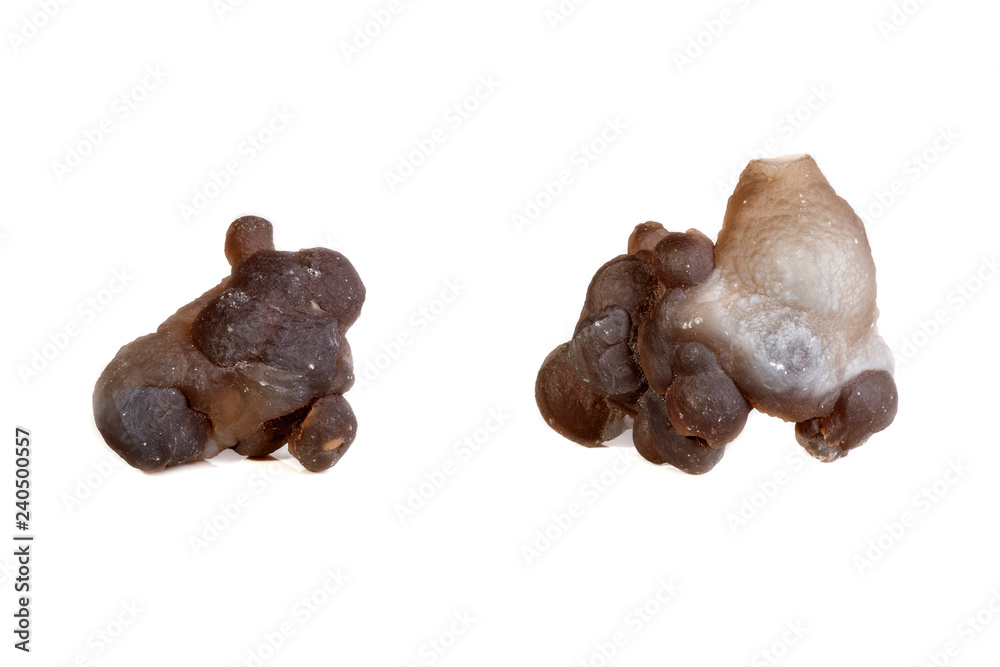 Macro mineral stone Chalcedony, Chalcedony screed on a white background Macro mineral stone Chalcedony, Chalcedony screed on a white background