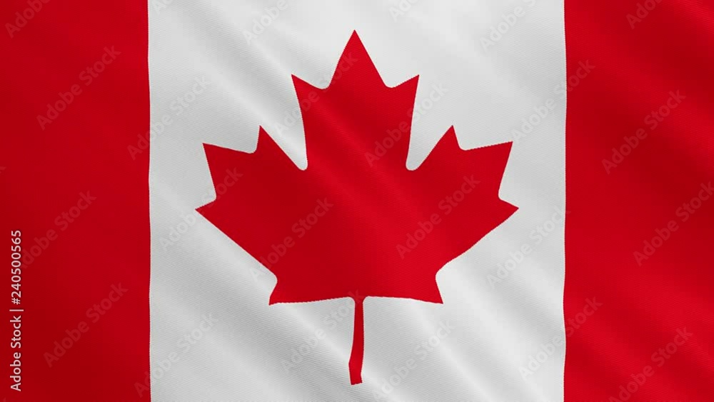 Canada flag is waving animation. Symbol of flag on fabric cloth Canada flag is waving animation. Symbol of flag on fabric cloth