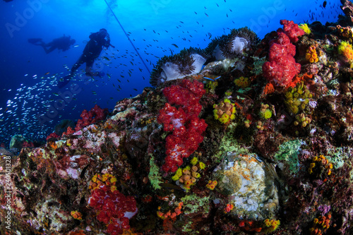 Fototapeta Naklejka Na Ścianę i Meble -  SCUBA divers swimmong on a colorful tropical coral reef