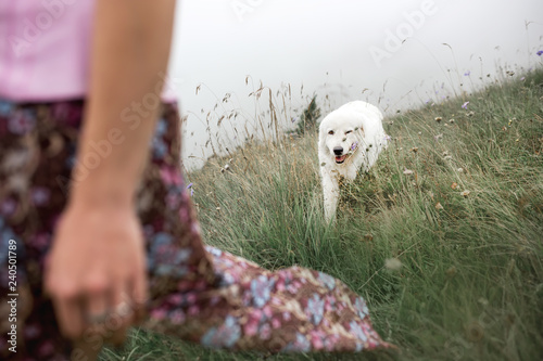 beautiful women and two white dogs morema go on field in fog photo