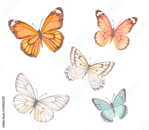 collection of delicate butterflies. watercolor painting
