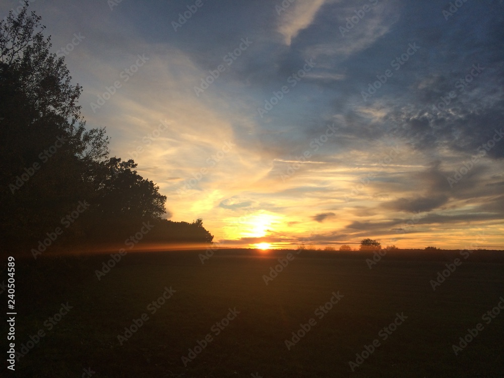 sunset, nature colors, trees, power time