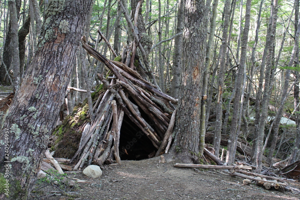 Wooden  shelter  in  the  forest