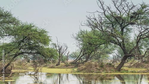 beautiful lake in the Keolado National Park, India