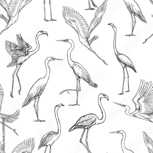 Seamless pattern, background with tropical birds