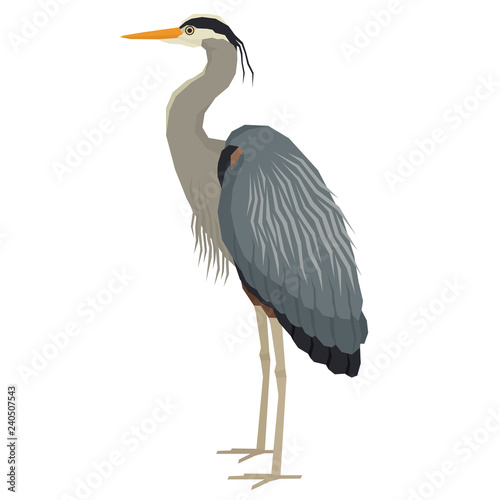 Forest Wild Life Isolated vector animals Geometric Great blue heron