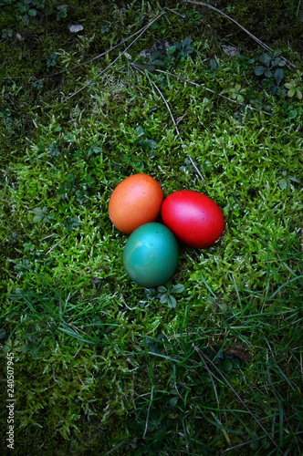 colorful easter painted eggs
