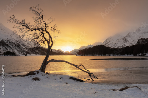 Sils (GR): Ausflug an den zauberhaften Silsersee photo