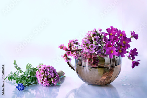 Spring white and pink flowers in a vase on a white background.
