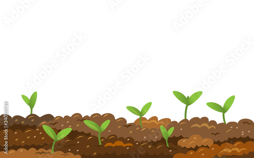 Spring growing background.