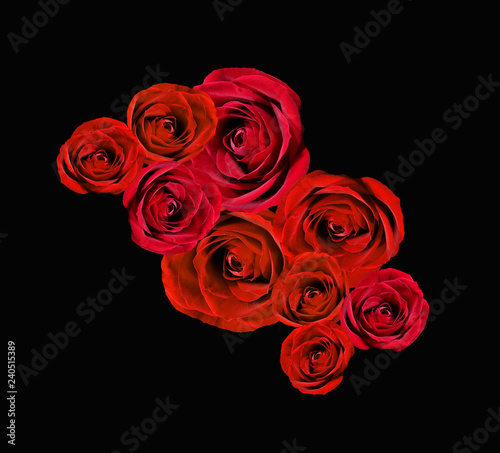 Fototapeta Naklejka Na Ścianę i Meble -  Rose rosse in nero