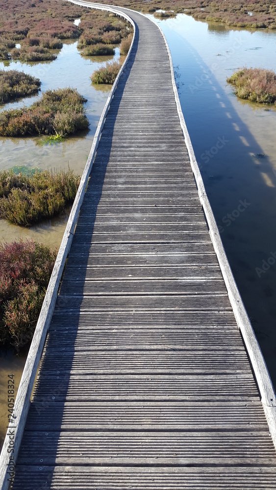 Long narrow wooden bridge over a lake with plants on the way endlessly
