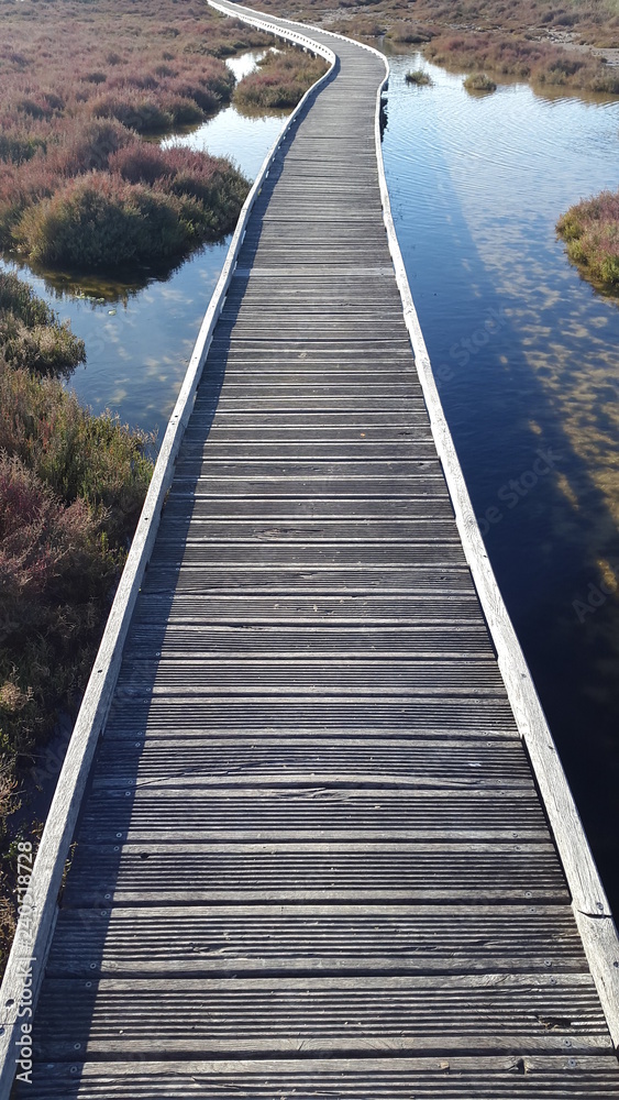 Obraz premium Long narrow wooden bridge over a lake with plants on the way endlessly