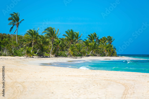 Fototapeta Naklejka Na Ścianę i Meble -  Exotic carribean shore of Puerto Rico Flamenco beach
