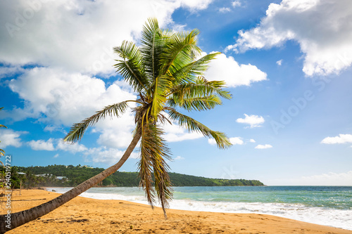 Fototapeta Naklejka Na Ścianę i Meble -  Exotic carribean shore of Puerto Rico Flamenco beach