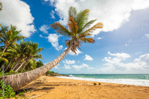 Exotic carribean shore of Puerto Rico Flamenco beach © PhotoSpirit
