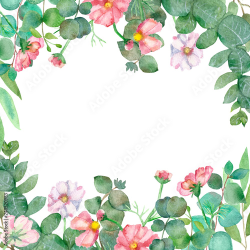 Luxury watercolor frame of branches and leaves of blooming fresh eucalyptus and pink daisies, with delicate petals on a white background. Lovely hand painted for great design, with love!