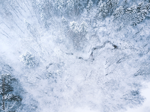 Aerial winter forest view. Drone landscape  fly above. White trees with snow  beautiful wallpaper background. High modern photography.