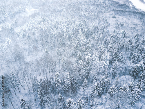Aerial winter forest view. Drone landscape, fly above. White trees with snow, beautiful wallpaper background. High modern photography.