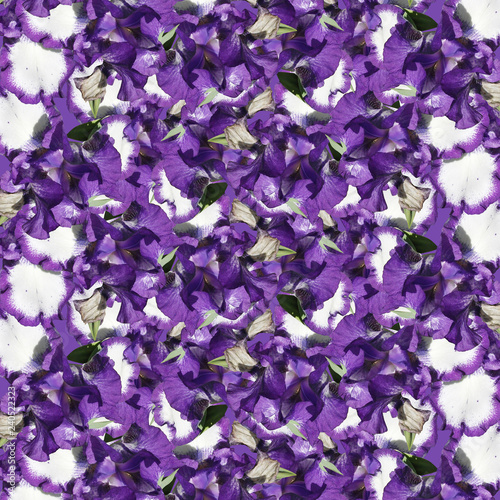 Fototapeta Naklejka Na Ścianę i Meble -  Beautiful floral background of irises 