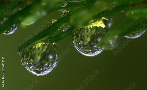 drop of water on a leaf in ultra macro. photo