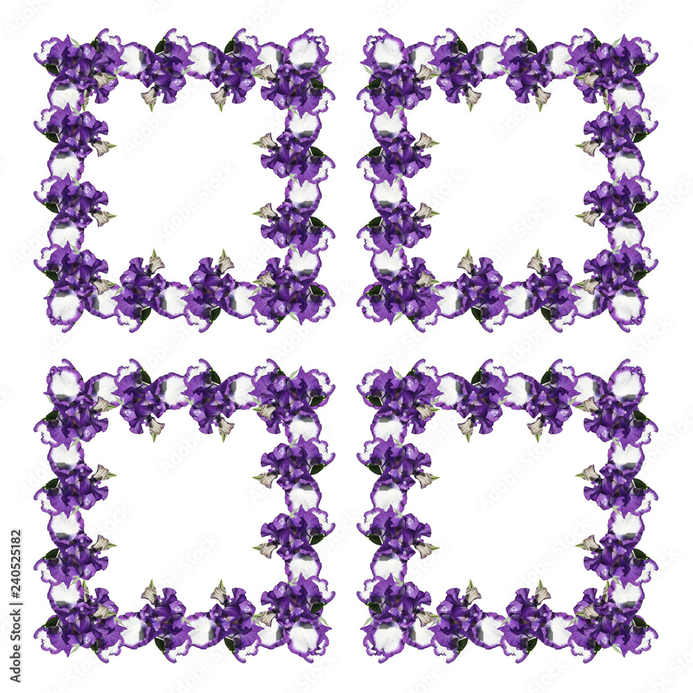 Beautiful pattern of blue irises Beautiful pattern of blue irises