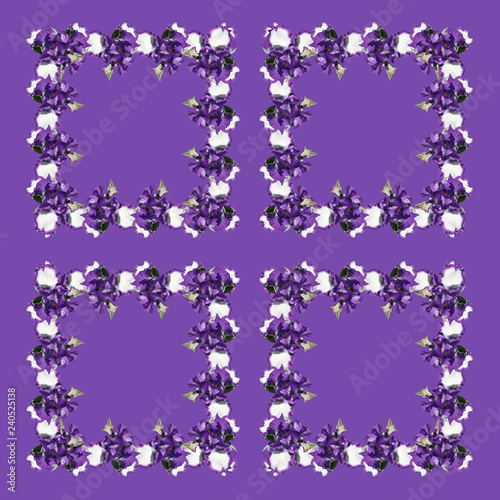 Fototapeta Naklejka Na Ścianę i Meble -  Beautiful pattern of blue irises 