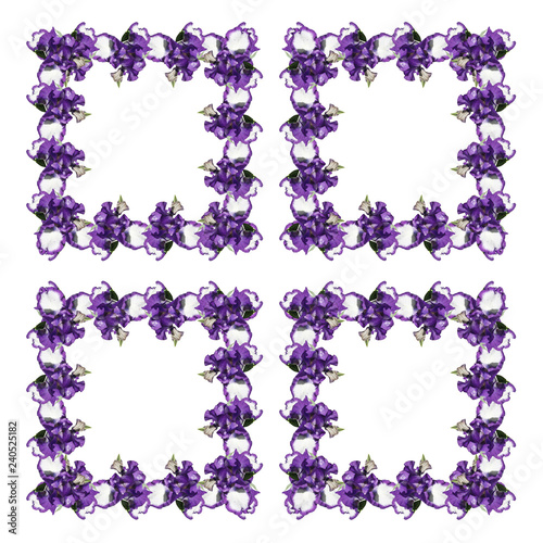 Fototapeta Naklejka Na Ścianę i Meble -  Beautiful pattern of blue irises 