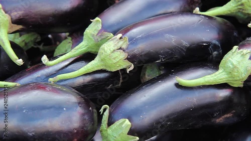 eggplants on the table