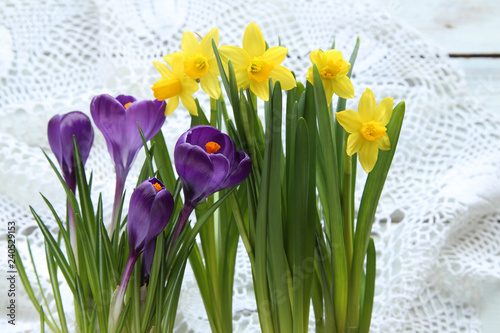 Fototapeta Naklejka Na Ścianę i Meble -  Daffodils with crocus on lace 