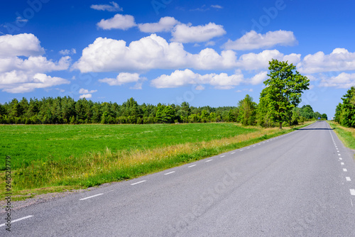 Asphalt road on the background of blue sky with clouds. Typical landscape of Saaremaa island, Estonia