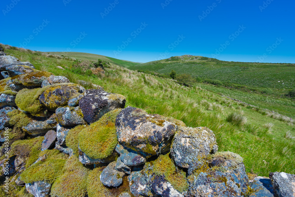 Dartmoor National Park in the summer, southern Devon, England. Dry stone walls on the moorland, built with granite boulders of varying sizes without any mortar. They can be up to 230 years old.