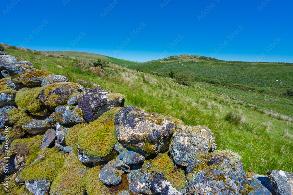 Dartmoor National Park in the summer, southern Devon, England. Dry stone walls on the moorland, built with granite boulders of varying sizes without any mortar. They can be up to 230 years old. Dartmoor National Park in the summer, southern Devon, England. Dry stone walls on the moorland, built with granite boulders of varying sizes without any mortar. They can be up to 230 years old.