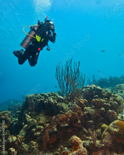 Scuba Diving the reefs of Bonaire