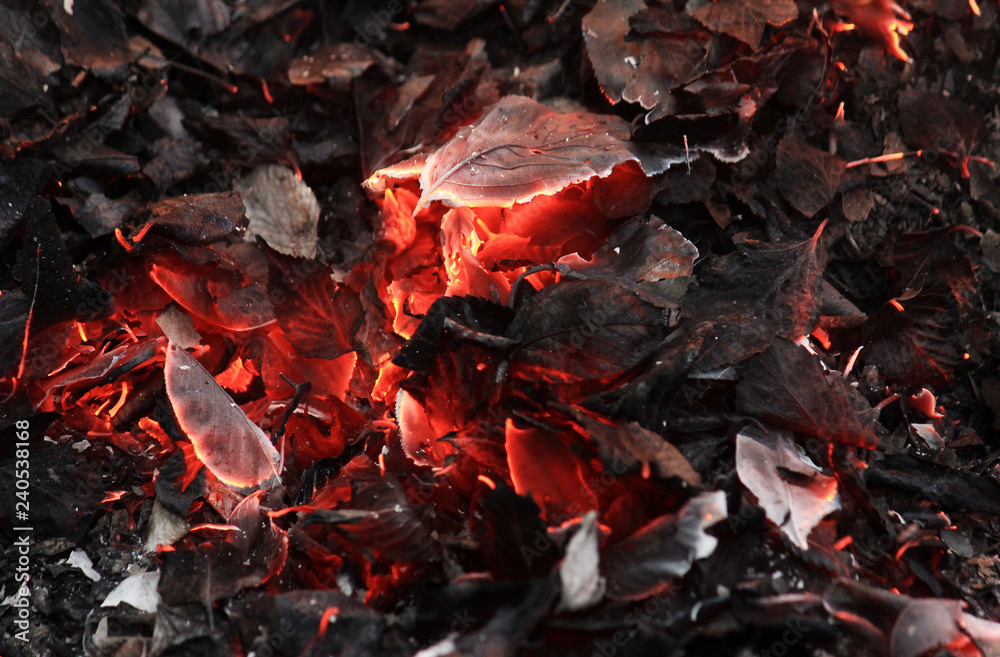 燃える落ち葉 Stock Photo Adobe Stock