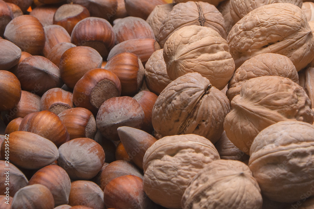 background of lot of walnuts and hazelnut background of lot of walnuts and hazelnut