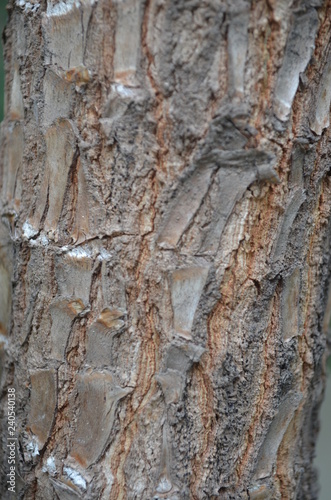 Plakat Textura Recta