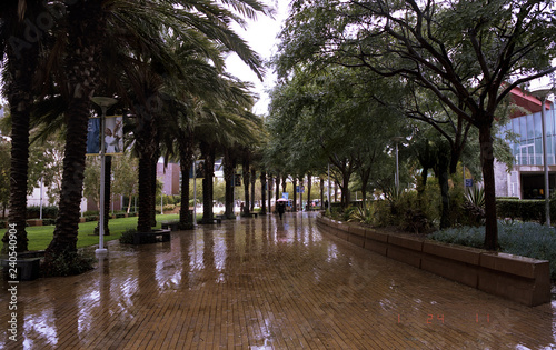 Santa Monica College campus in the rain - Quad 2