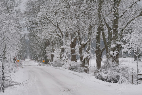 Winter view over a snow covered road, Sodermanland province, Sweden photo