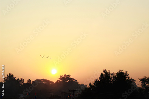 sunrise at village with flying birds