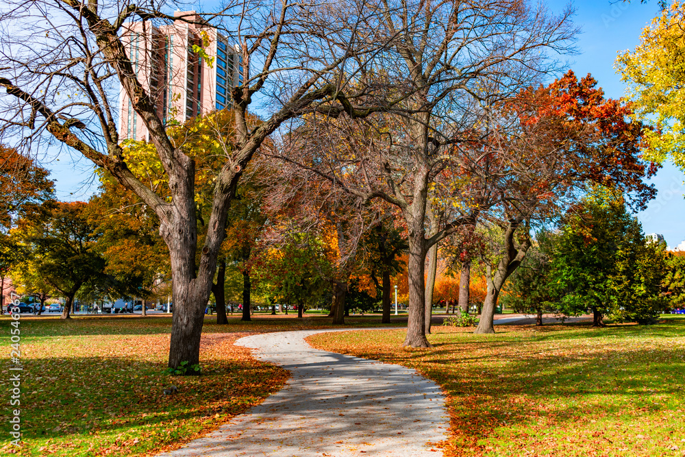 Fototapeta premium Curvy Colorful Walkway in Lincoln Park Chicago during Autumn