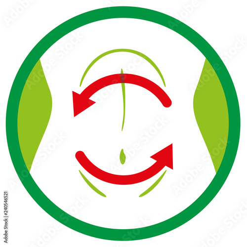 Illustration of icon of fution or reconstruction intestinal flora, belly. Ideal for medical and educational materials