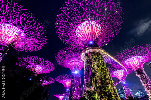 Night view of Supertree Grove at Gardens by the Bay, Singapore.